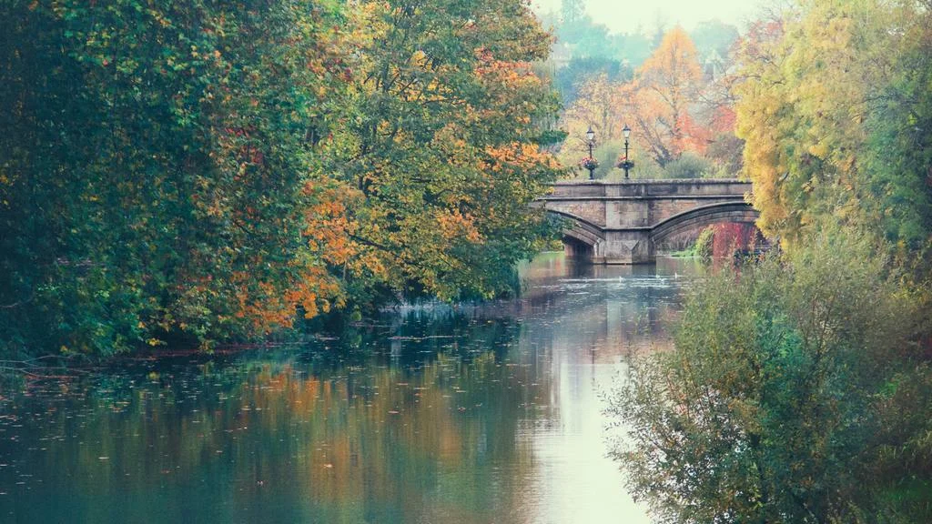 river with trees and a beautiful bridge